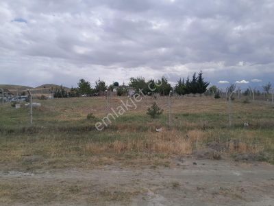 Arsa-Tarla