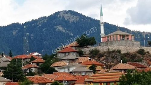 Arsa-Bağ & Bahçe