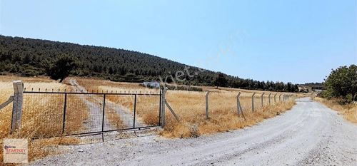 Arsa-Tarla