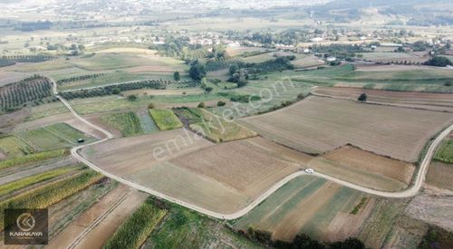 Arsa-Tarla