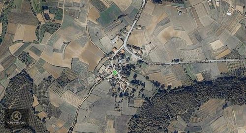 Arsa-Tarla