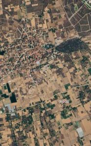 Arsa-Tarla