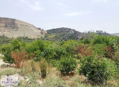Arsa-Bağ & Bahçe