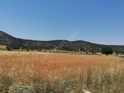 Arsa-Tarla