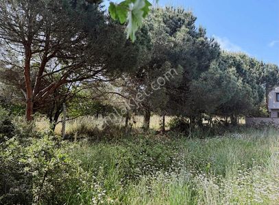 Arsa-Villa İmarlı
