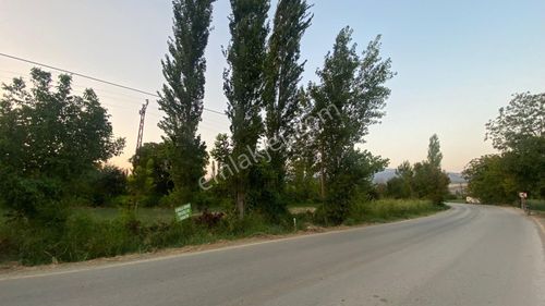 Arsa-Tarla