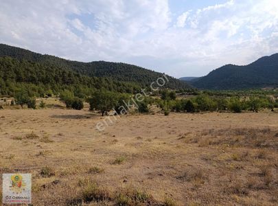 Arsa-Tarla