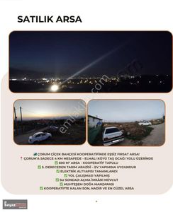 Arsa-Bağ & Bahçe