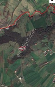 Arsa-Tarla