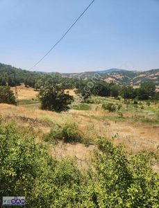 Arsa-Tarla
