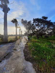 Torbalı Gazi Mustafa Kemal De Cadde Üzeri 3495m2 Satılık Tarla