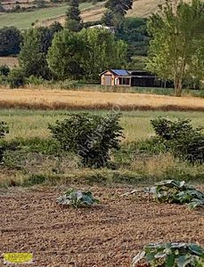 Arsa-Tarla