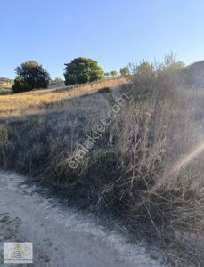 Arsa-Tarla