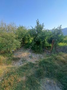 Arsa-Tarla