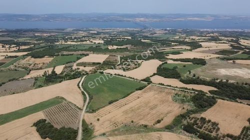 Arsa-Tarla