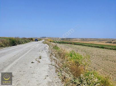 Arsa-Tarla