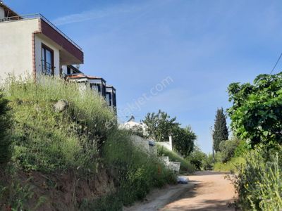 Arsa-Konut İmarlı