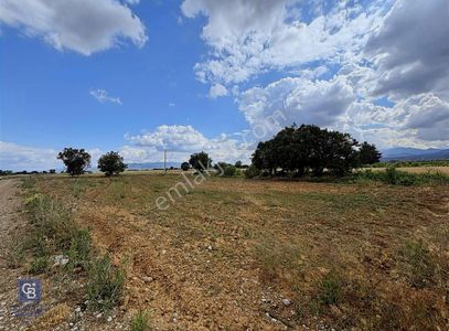 Arsa-Tarla