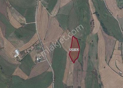 Arsa-Tarla