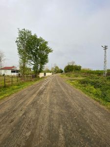 Arsa-Tarla