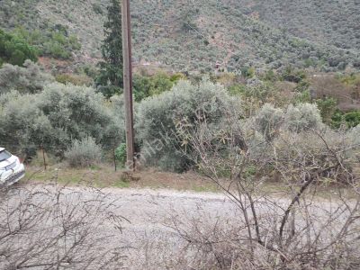 Arsa-Konut İmarlı