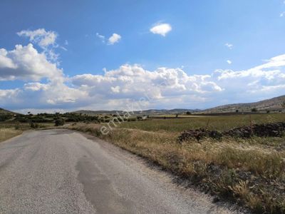 Arsa-Tarla