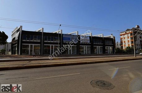 İşyeri-Dükkan & Mağaza