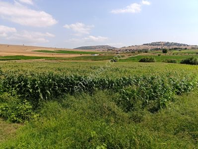 Arsa-Tarla