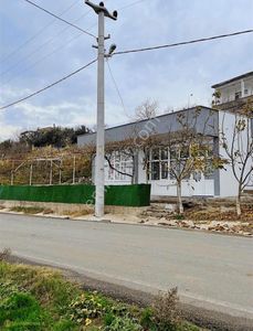 İşyeri-Kafe & Bar
