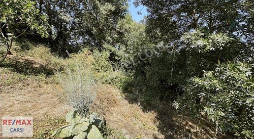Arsa-Bağ & Bahçe