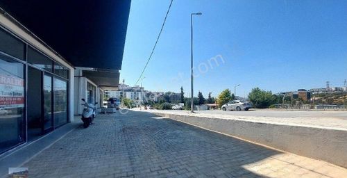 İşyeri-Dükkan & Mağaza