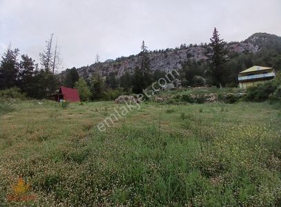 Arsa-Tarla