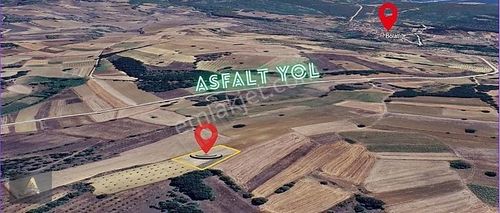 Arsa-Tarla