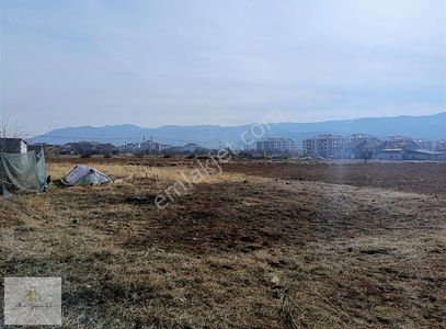 Arsa-Konut İmarlı