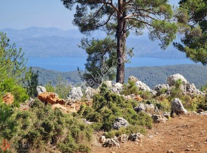 Konut-Çiftlik Evi