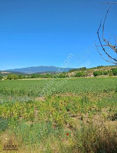 Arsa-Tarla