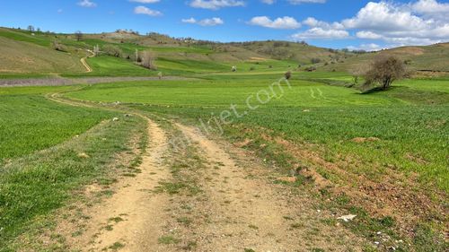 Doğa City'den Satılık Bilecik Söğüt Oluklu'da 1.236 M2 Tarla
