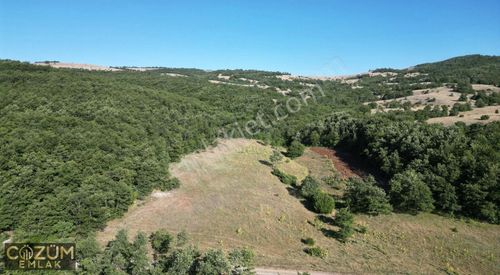 Arsa-Tarla