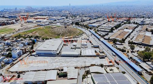Arsa-Depo, Antrepo İzinli