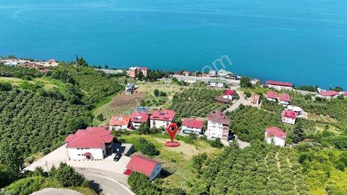Arsa-Konut İmarlı