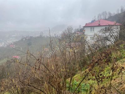 Arsa-Bağ & Bahçe