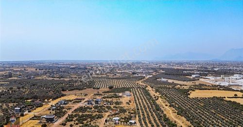 Arsa-Konut İmarlı