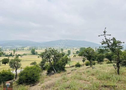 Arsa-Tarla