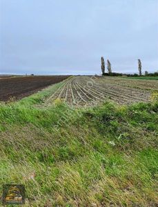 Arsa-Tarla