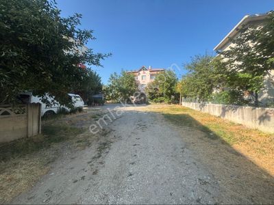 Arsa-Konut İmarlı
