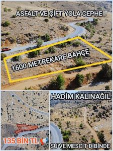 Arsa-Tarla