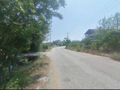 Arsa-Konut İmarlı