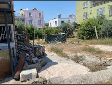 Arsa-Konut İmarlı