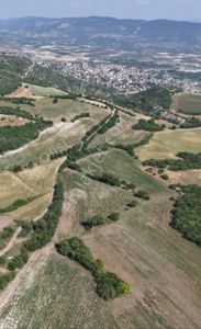 Arsa-Tarla