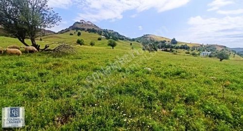 Arsa-Villa İmarlı